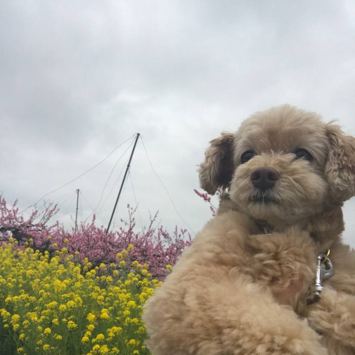 6f956a78 b922 43ec beb3 aa22d53262c9