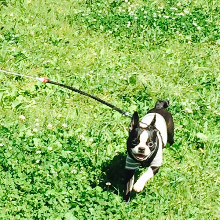 6f95f1e3 ea6a 4aac 8167 754e406dc6c3