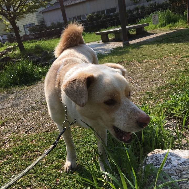 6f95f236 d811 498c b7ff 04aa54cb574b