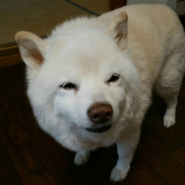 6f960589 b870 4116 acc4 8fa177f92f07