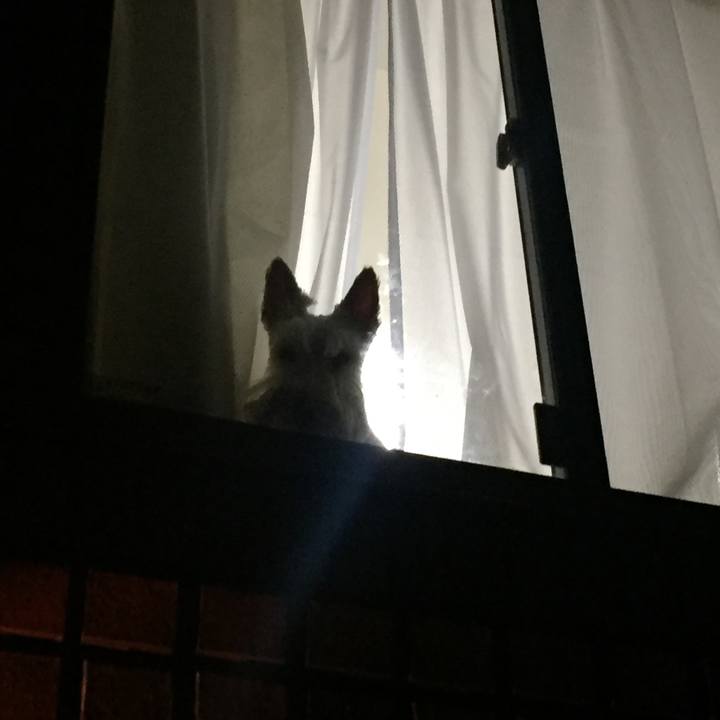 6f969e44 7a49 48bc 8b71 4a5495ec82fc