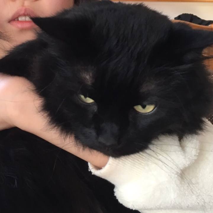 6f972100 7481 4e52 8110 a168caa76414