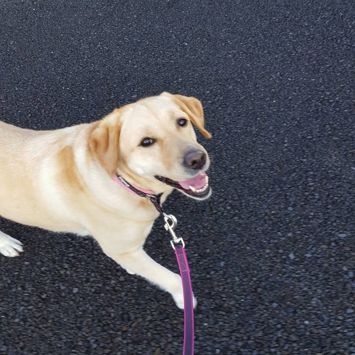 6f992c7b 8588 4f28 bc46 14b9e052bcf0