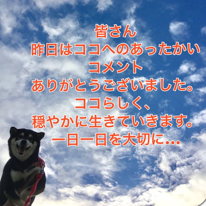 6f99e1e1 e0c5 41ec aa93 b0920fbd2f8e