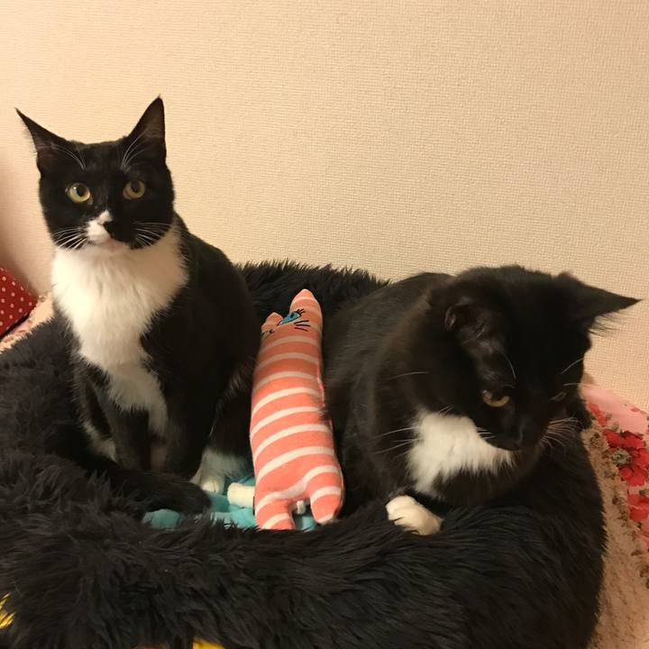 6f9aa9bf c5a6 4c61 98c8 a56abbd3e9a1