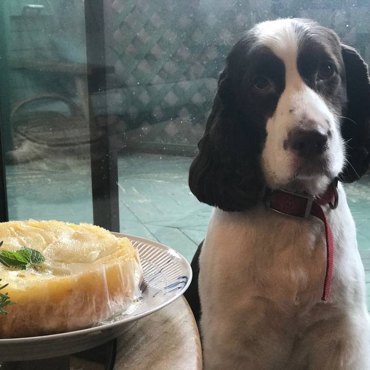 6f9b518b 2e45 4fdc 8cd2 8d90b93fffd7