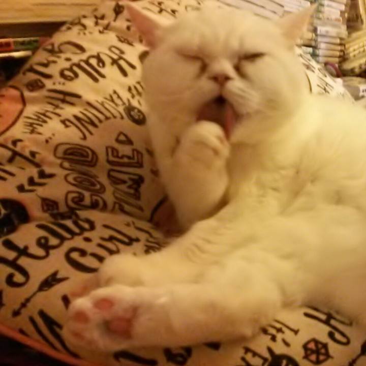 6f9bbb2f 5710 4dd9 9895 d0d3696e10fa