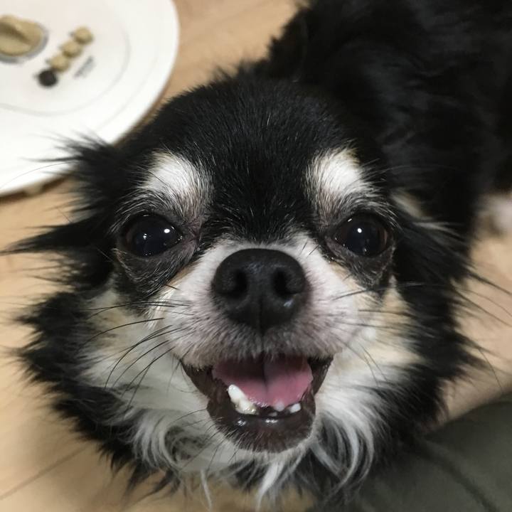 6f9bd7ce ffd7 4cfc a895 2b2f6f77ddfb