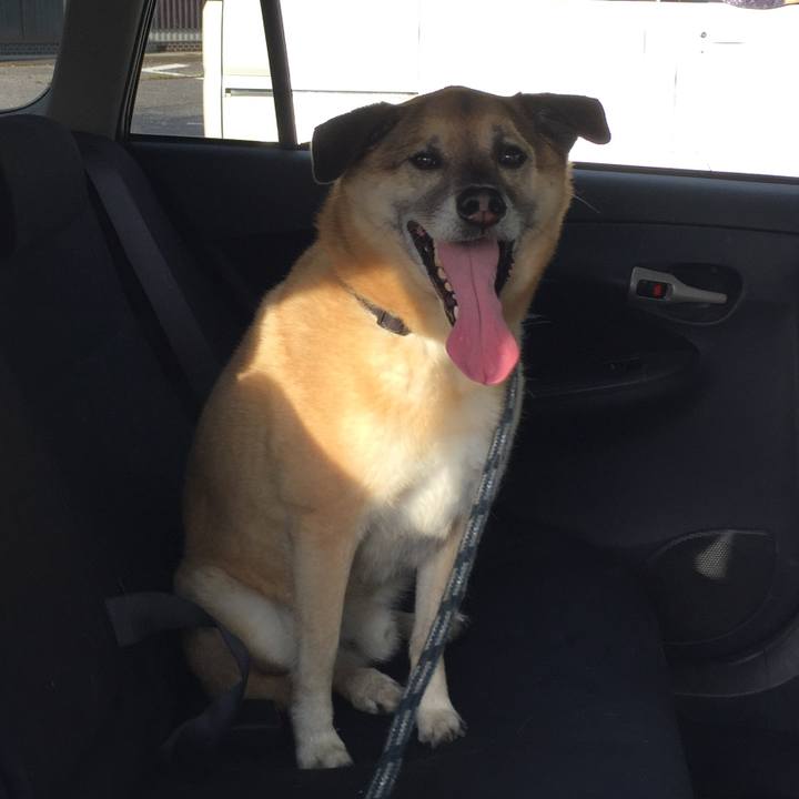 6f9bd913 0a4c 4a53 b748 585ad790da5d