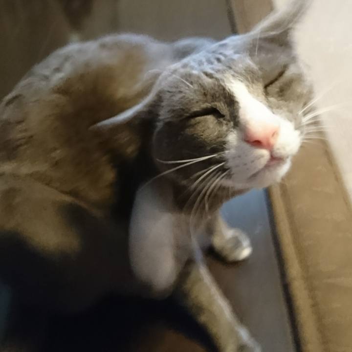 6f9c84e5 7683 4c75 83d5 9f63b5e07ead