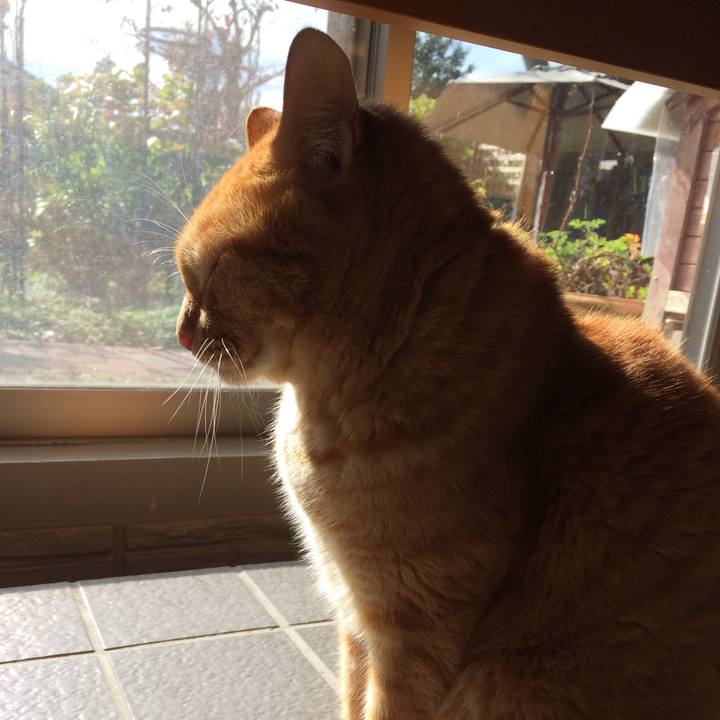 6f9caa60 f1b2 4a5e b8c1 69d4cb32e337