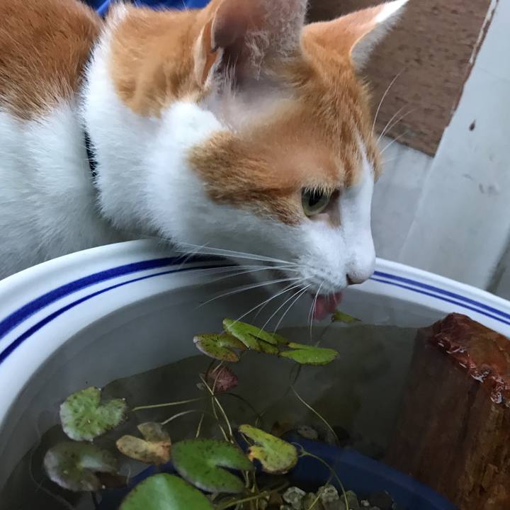 6f9cb3bc 3052 467e abdb da17159b7a54