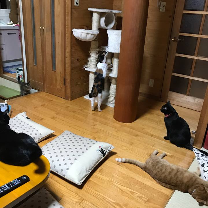 6f9d35a8 c513 4fc0 a69f 6947b299aedc