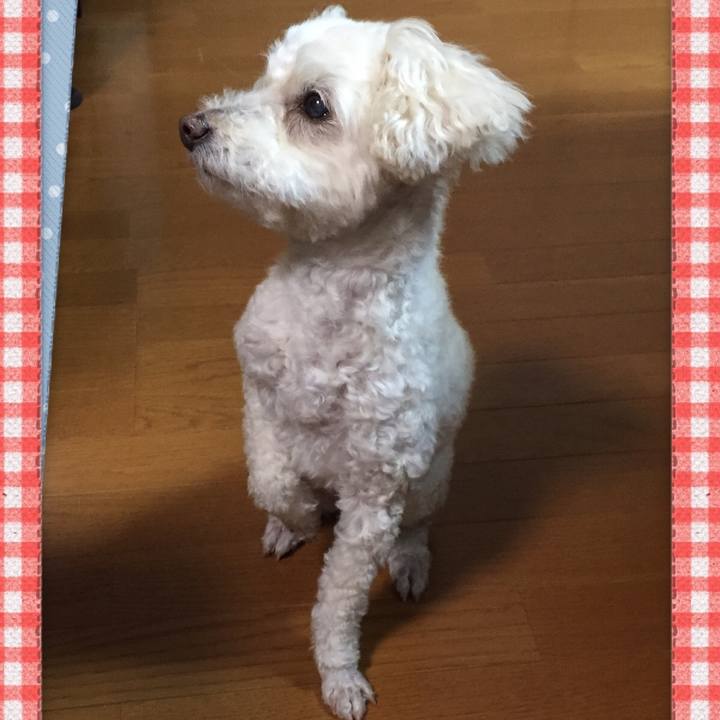 6f9d8df1 185b 4a39 8f31 22536ee453d8