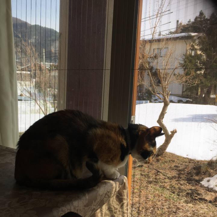 6f9ef6db 74e9 409c b03c d9ce9d7ac648