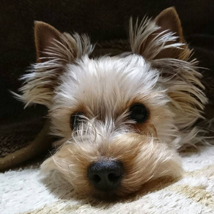 6f9f3c14 bea2 471c a18c 3ed700b68975