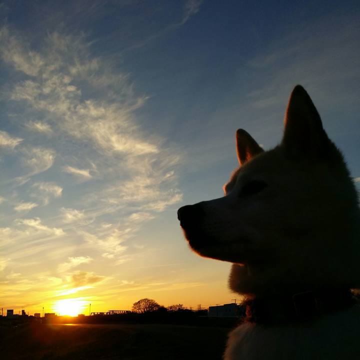 6fa02895 b956 4b76 a696 50d81b466633