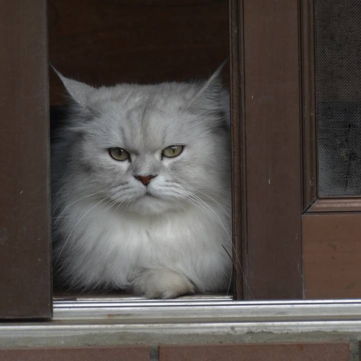 6fa080ef 1c55 4ed4 9a5e c932a88b96b8