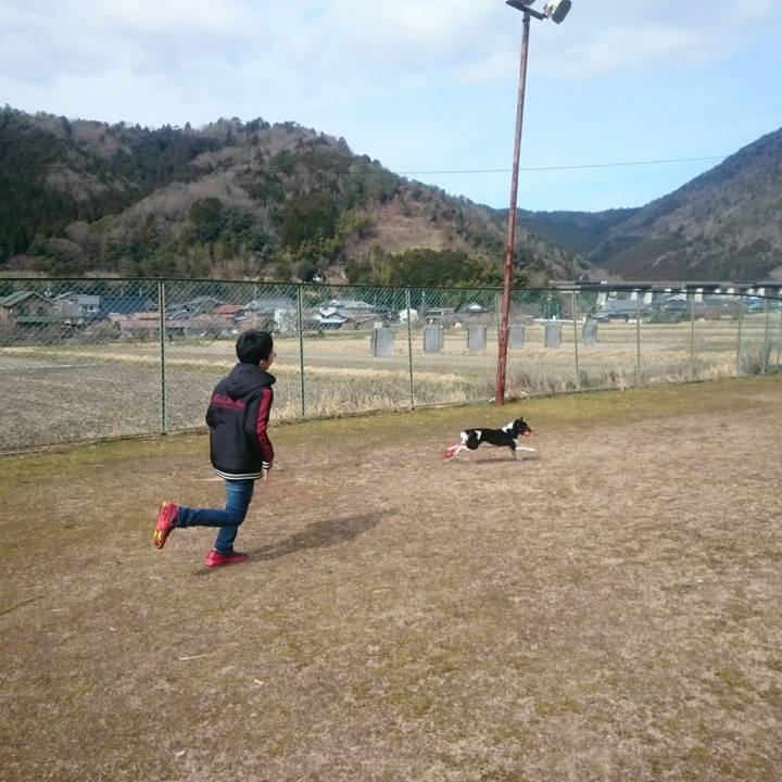 6fa09a48 e487 434d b497 74583f9e438f