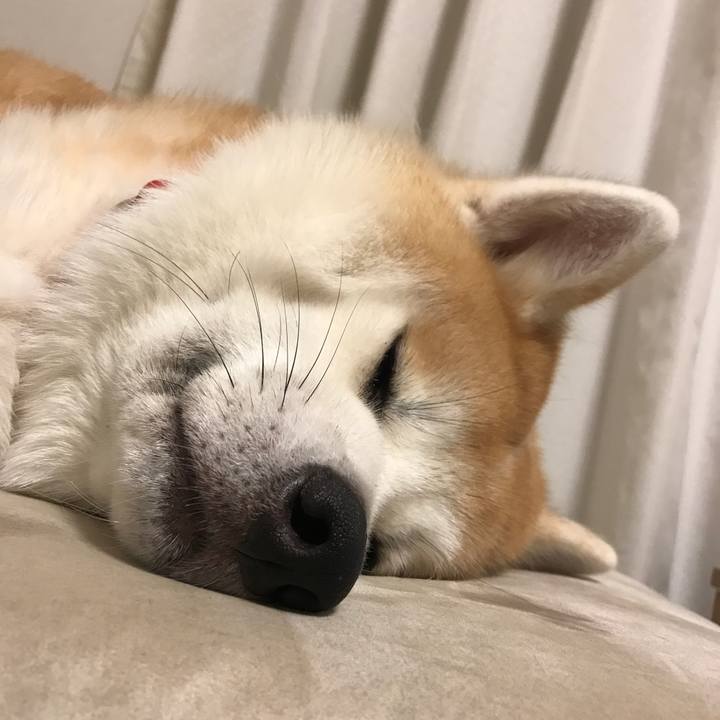 6fa0c541 1495 4ac1 92cc 9310d6d5f33e