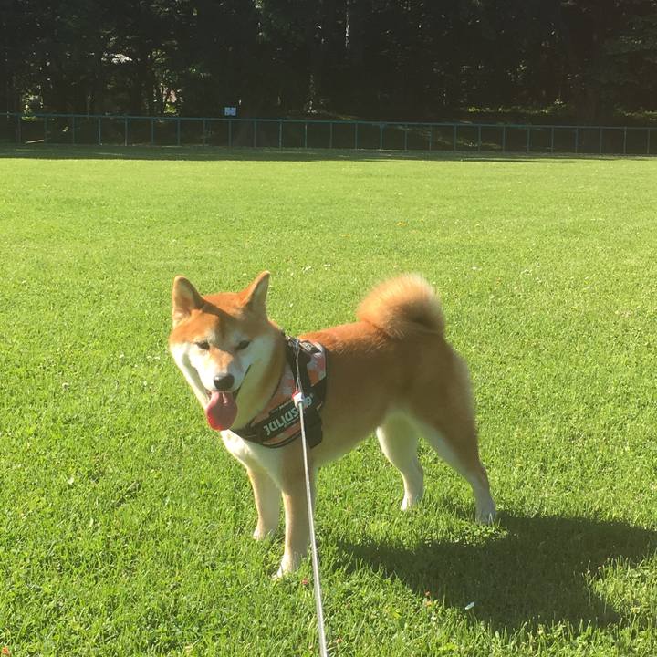 6fa0c916 c866 4f99 8e41 8848bb376089