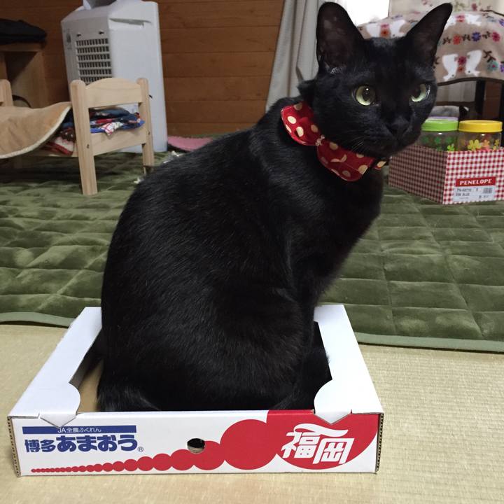 6fa0f198 52af 4dae 85cd 43d7a74fd640