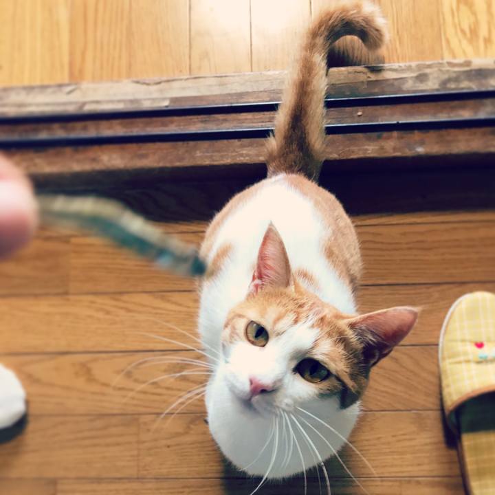 6fa12dc0 edcc 4eef b0c2 e20a21c26b24