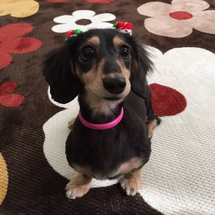 6fa24db3 d85b 47a2 b31b b180ebd0b76f