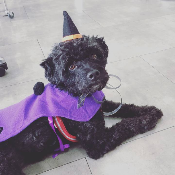 6fa295bd 6297 4f2f afe7 f88386135100