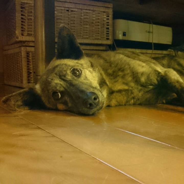 6fa30187 e8e4 4f35 9b6b 0c19ee47a287