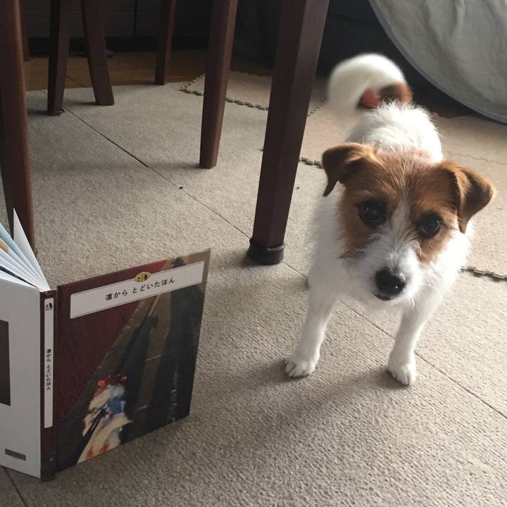 6fa4c424 b4e4 487f a001 b0ac2fe42e25