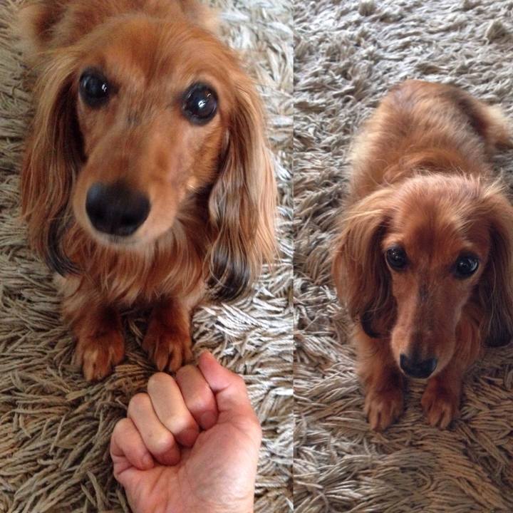 6fa4d5e9 7b8d 4012 be4d fd4f51e9ab5e