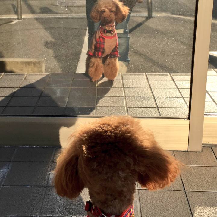 6fa4ff9e 8898 4018 b012 4067949a1858