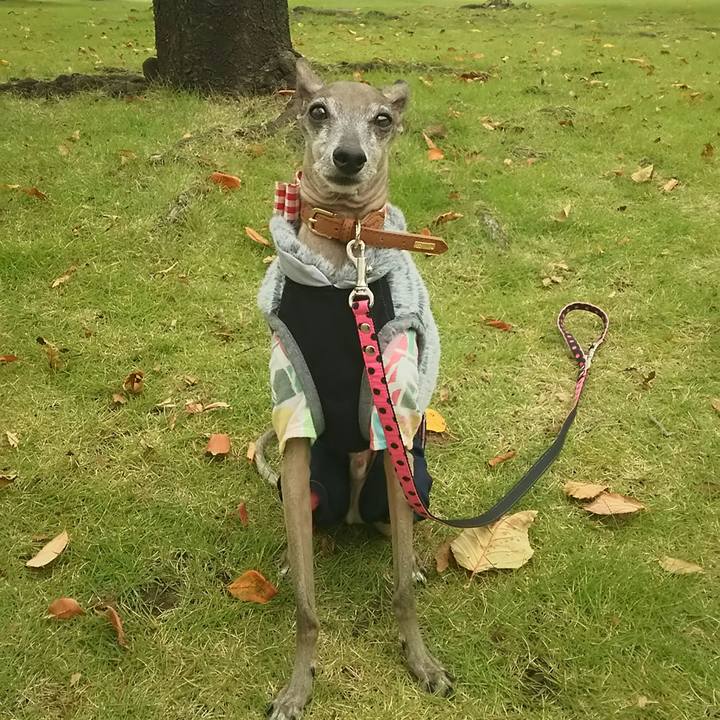 6fa5e0f1 a5a2 47bd 850f 74a09ae80b8b