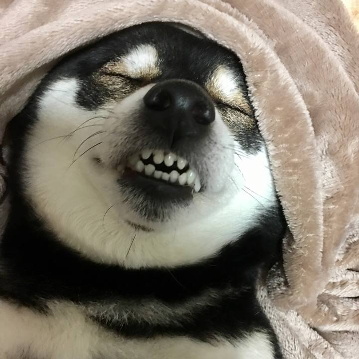 6fa64f1a 2d00 47aa bfaa 704ed32a07f4