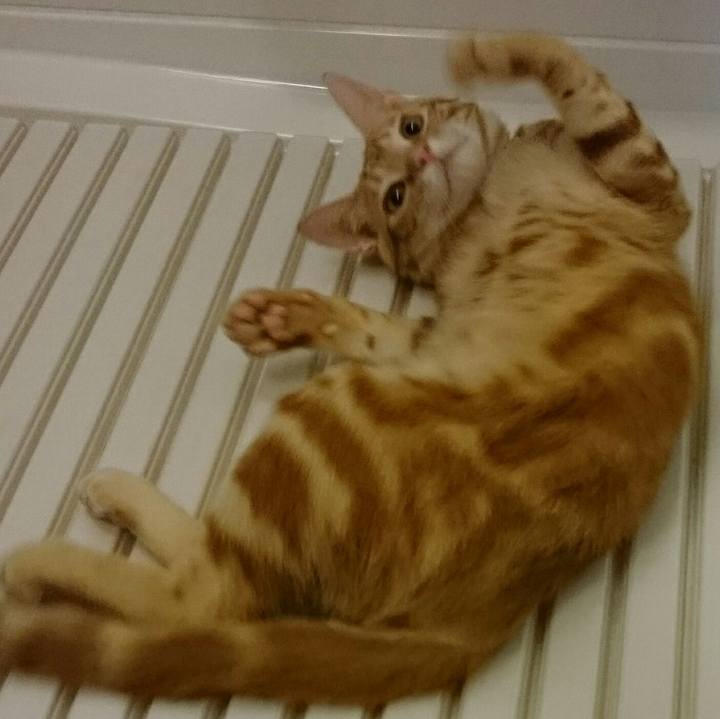 6fa6d032 546d 4d02 af05 c526e1fd6e6f