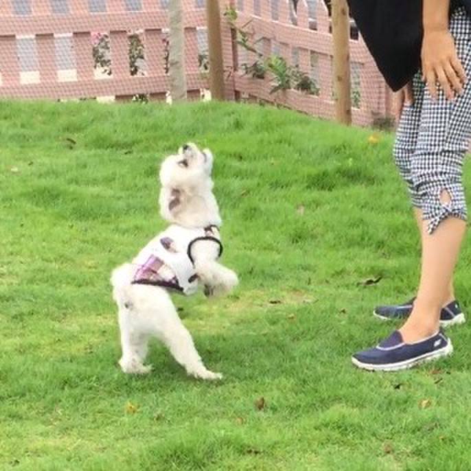 6fa6db94 27dd 4724 8670 dc6ea22aaf6b