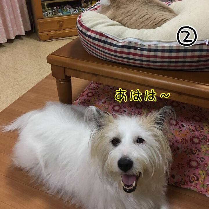 6fa79c9f 47e8 490e 8d08 ee8a64d1b7d8