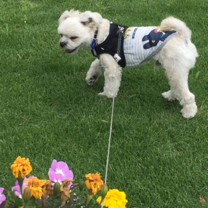 6fa7b3a5 2f04 40d2 b504 0f81a074e105