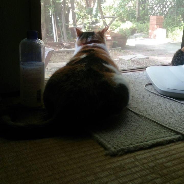 6fa7b7e3 49e6 4b08 a77a 6ea2fba5a3f8