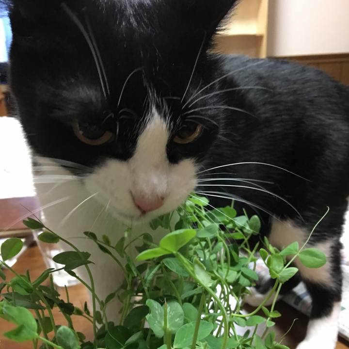 6fa7c027 49ea 4068 b10c cb8756845446