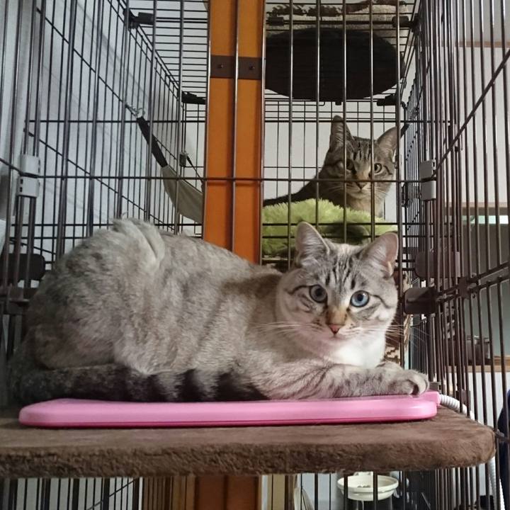 6fa7c818 67cd 4d83 93bd 08b3876900e0