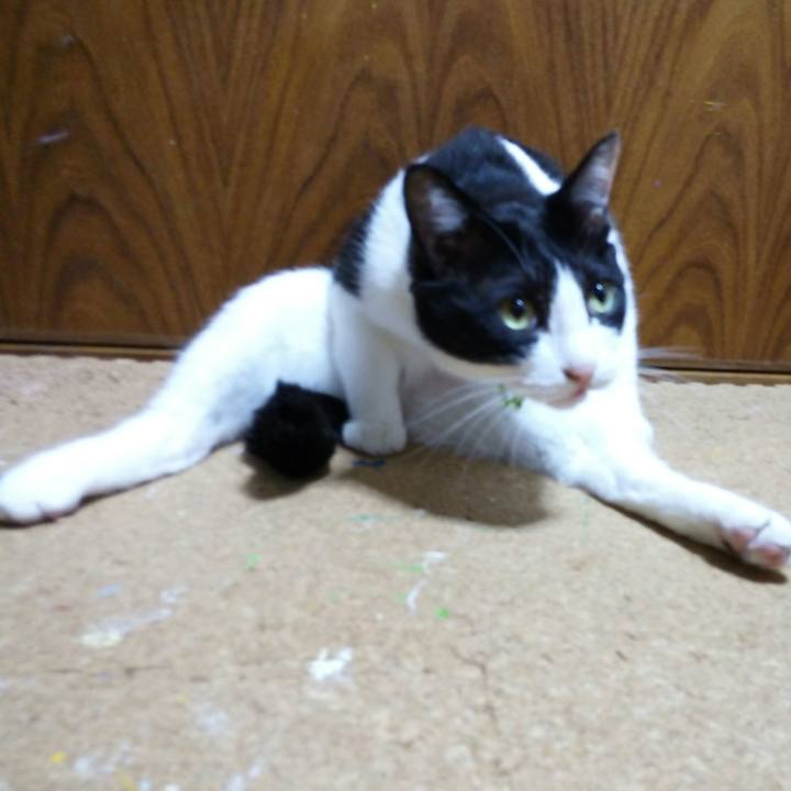 6fa8006f 1f9c 47b1 8bf6 1fd151599cd3