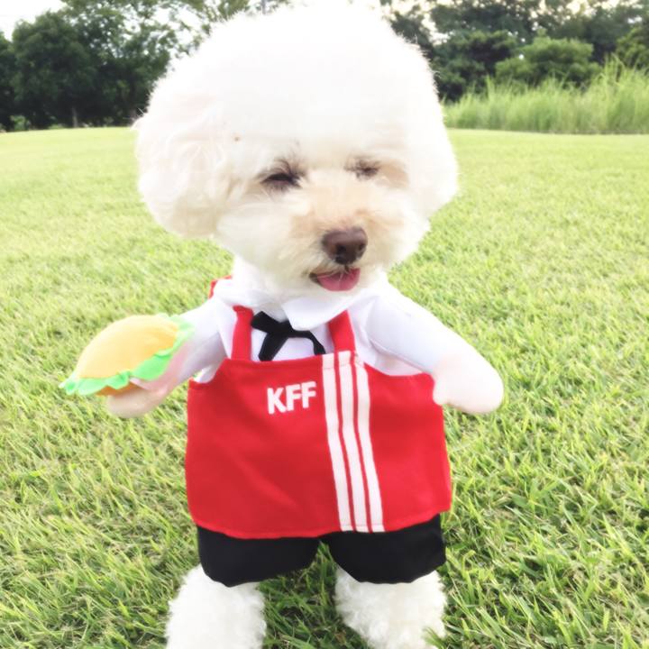 6fa9a025 030a 4a0f a2e2 fdc3ad4ccc21