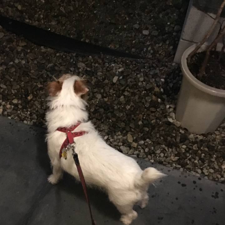 6faa1d66 109f 465e 8055 10f8e6ab6d1b