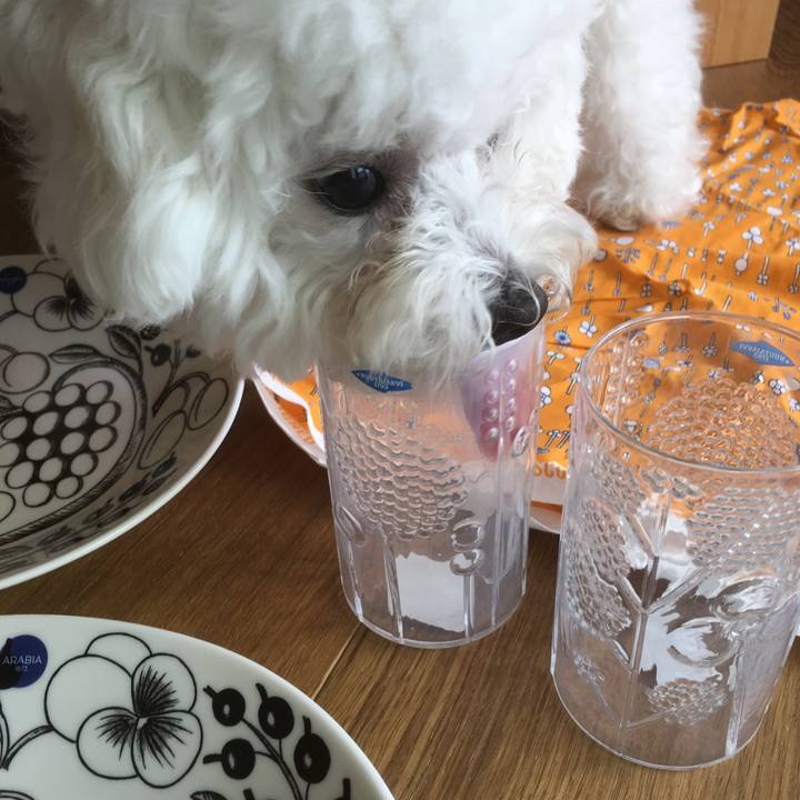 6faa4309 a56c 488f 9a3d 09846a793eb8