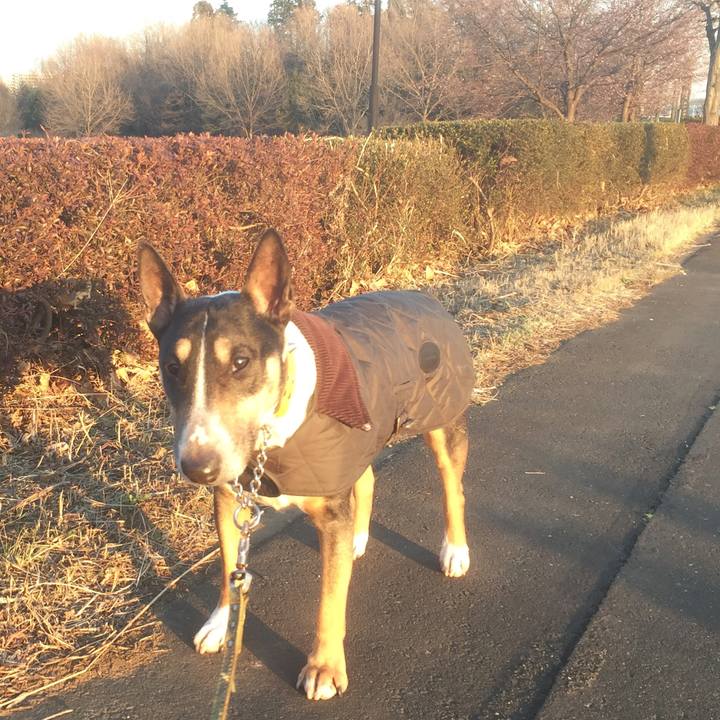 6faae0a0 35ac 4371 b53e 5fc4b8c1a688