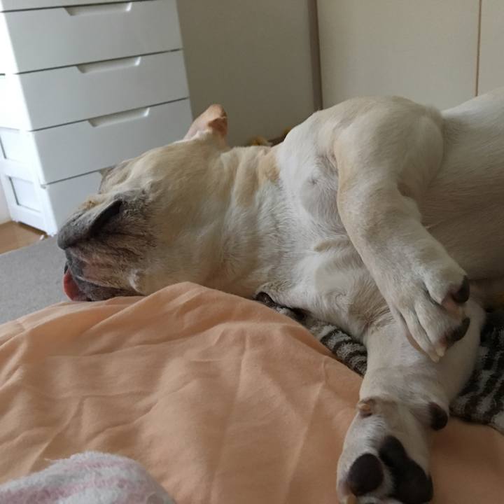 6fab038c 8478 4a7a b3cb 2502301be104