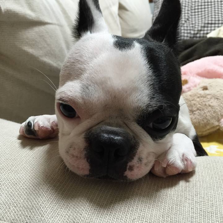 6fab082e e917 4bdf 986b d2ca0d57a8fb