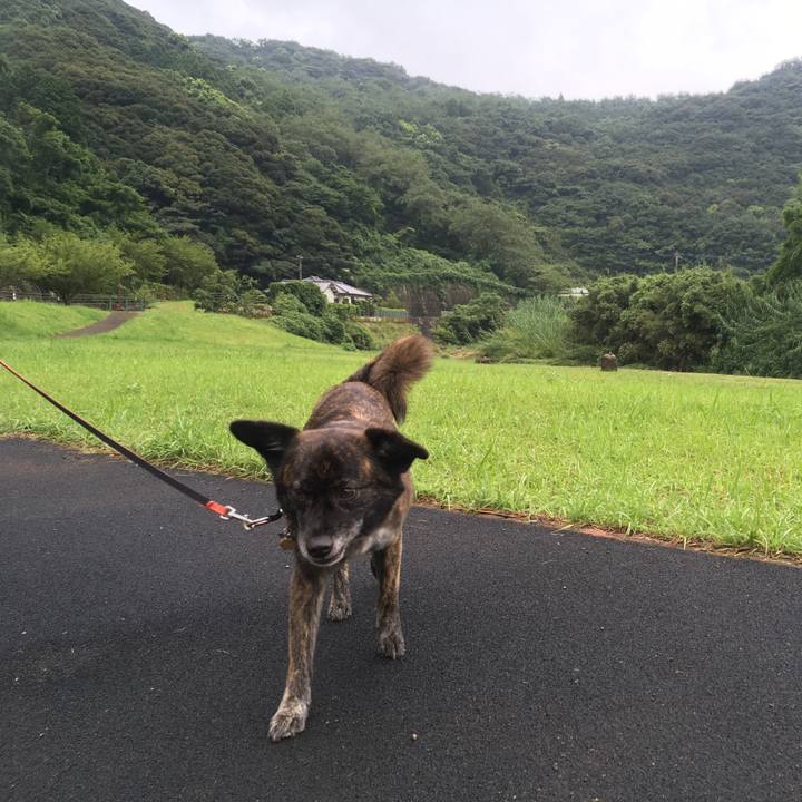 6fab52db 97c8 4204 a7dc 1955a666f02e